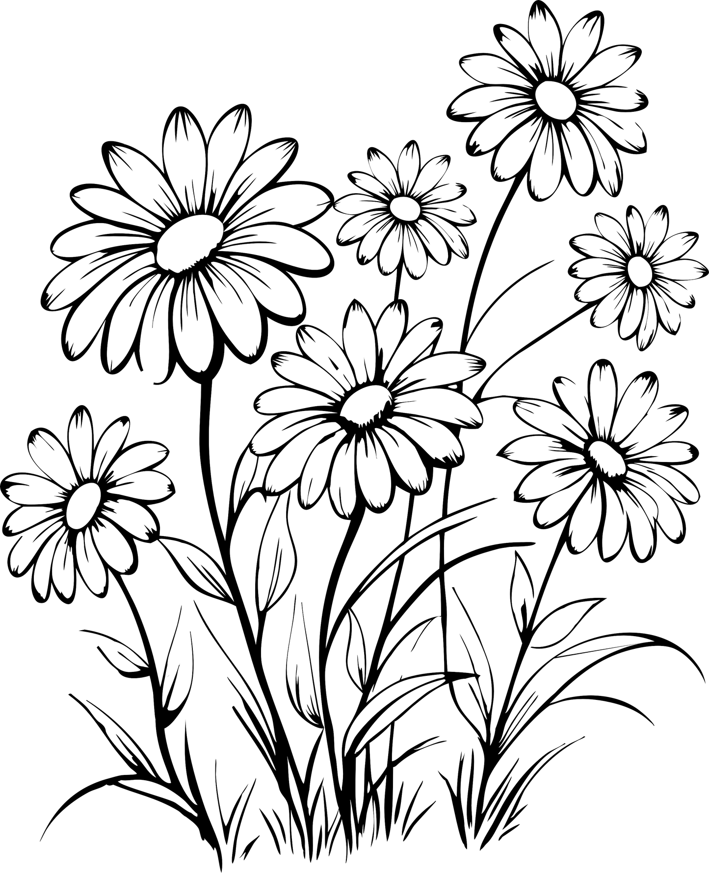 WILDFLOWERS 1