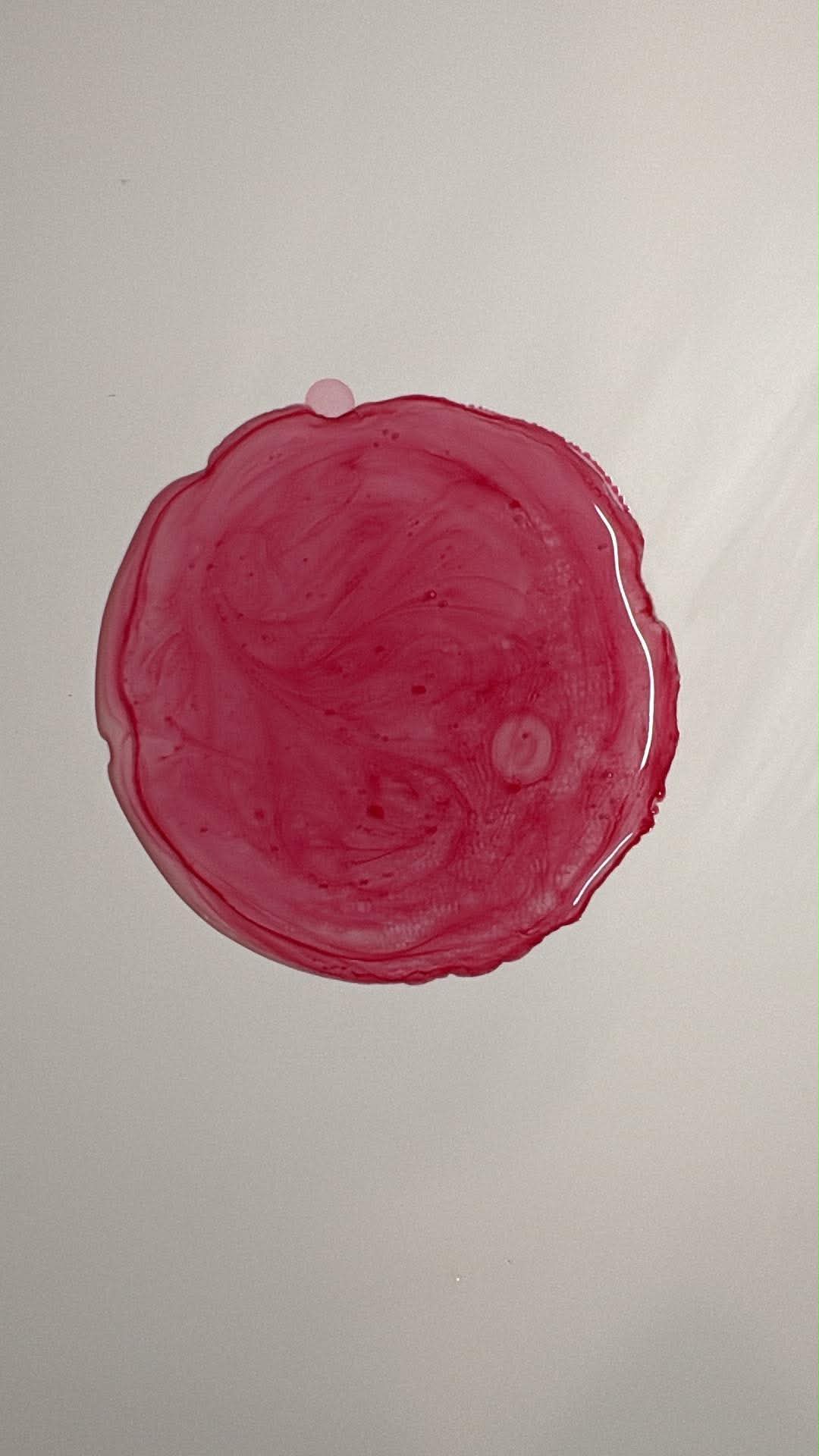 CARNATION