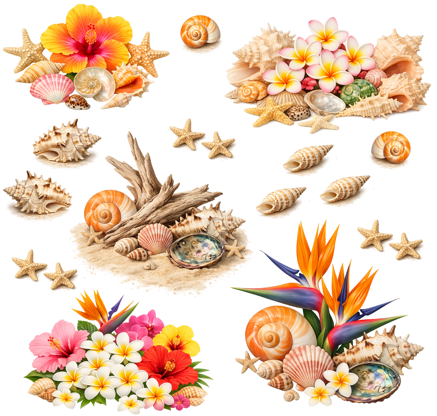 TROPICAL 4