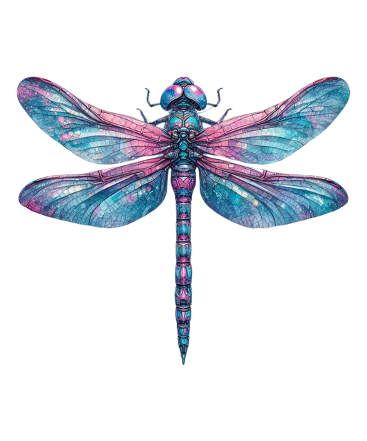 DRAGONFLY 10