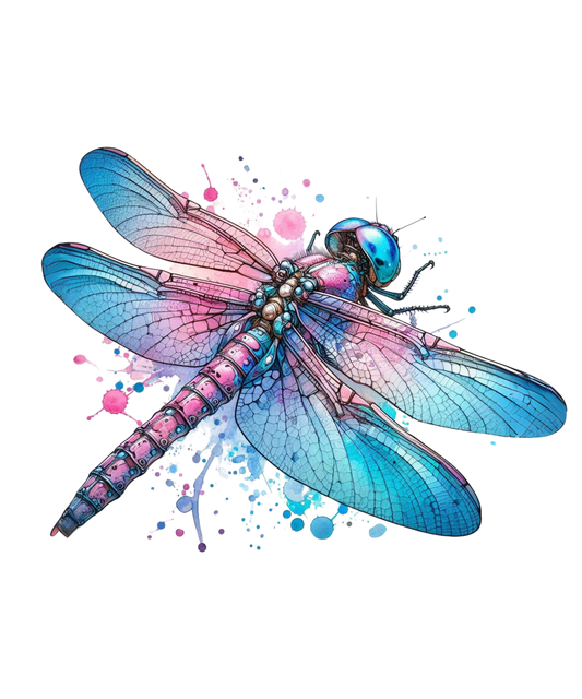 DRAGONFLY 11
