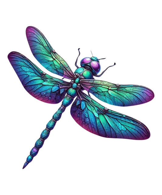 DRAGONFLY 5