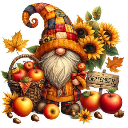 12 MONTH GNOME SET