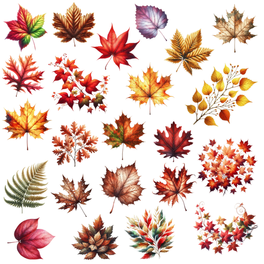 AUTUMN LEAVES 1
