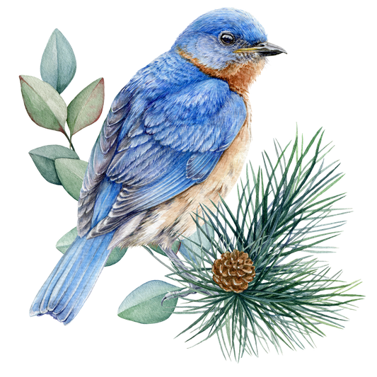 BLUE BIRD 1