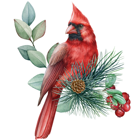 CARDINAL 12