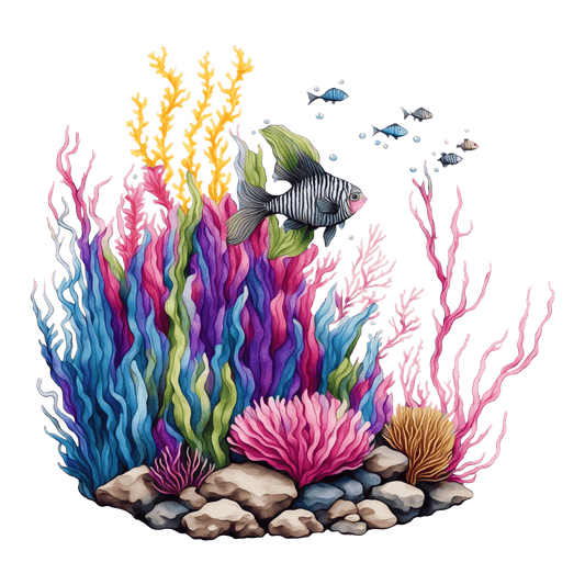 CORAL 1
