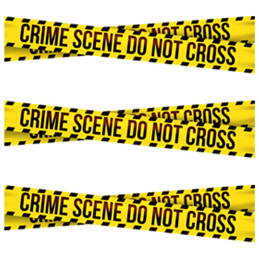 CRIME SCENE