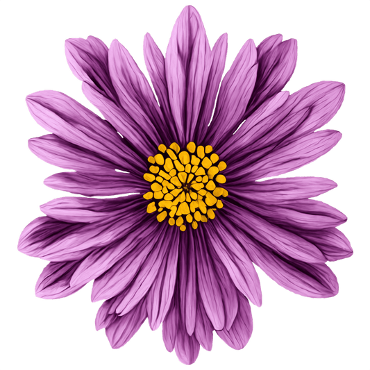DAISY 1