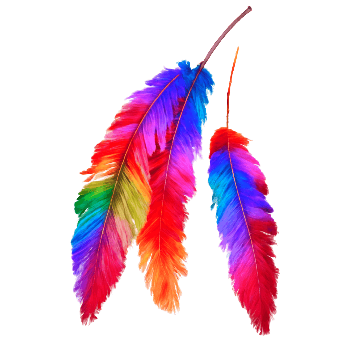 FEATHER 22