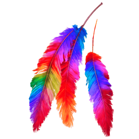 FEATHER 22