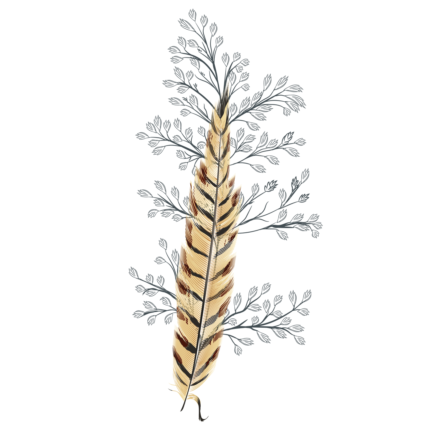 FEATHER 24