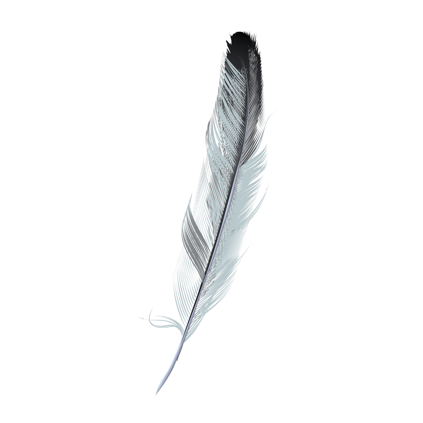 FEATHER 25