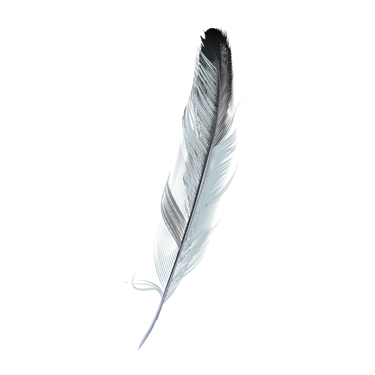 FEATHER 25