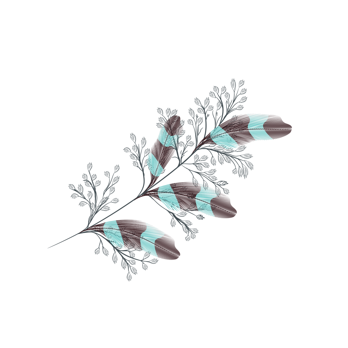 FEATHER 26
