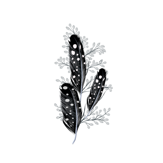 FEATHER 27
