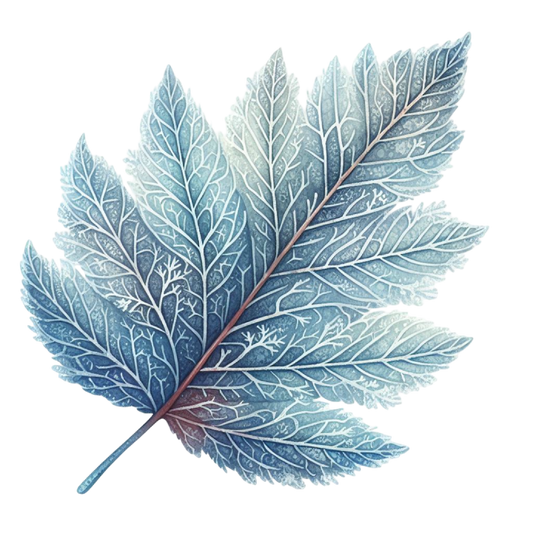 ICE LEAF