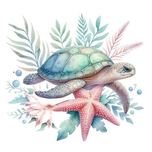 TURTLE 6