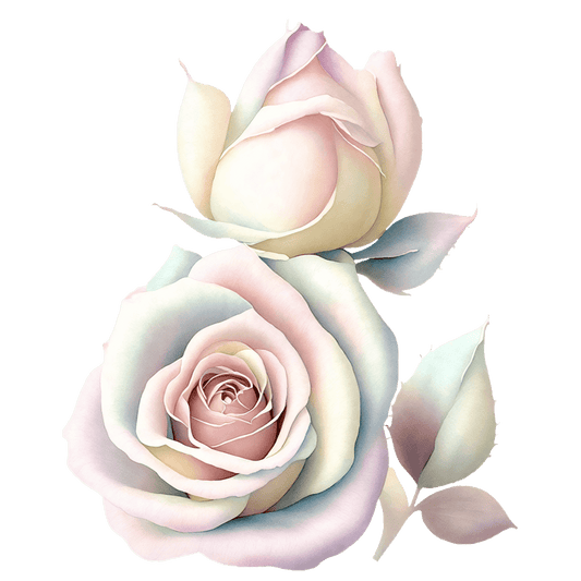 ROSES 8