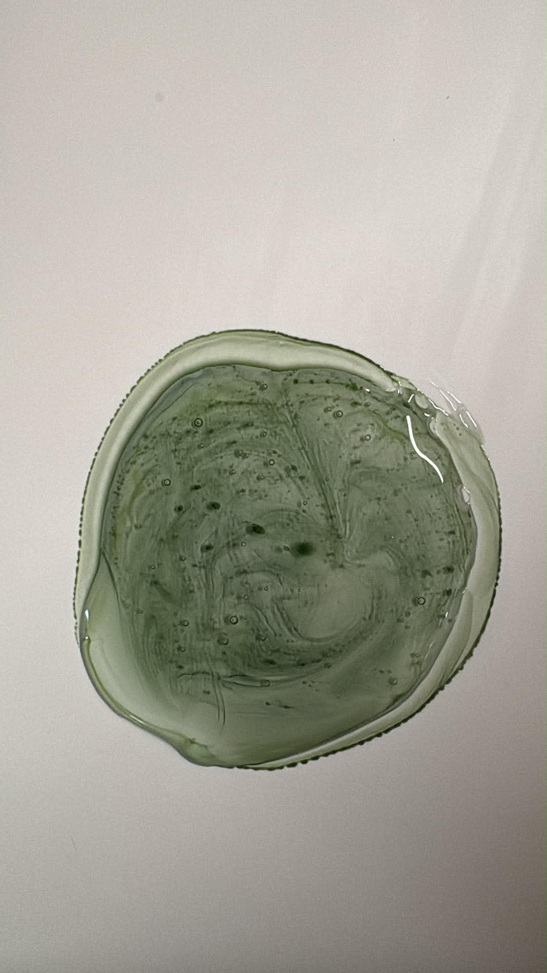 SEAWEED