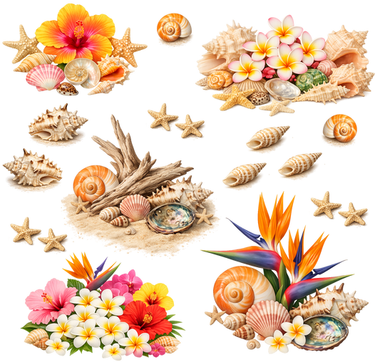 TROPICAL 4