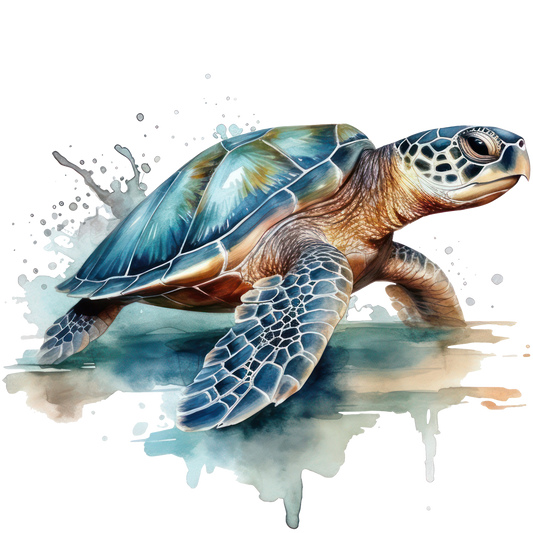 TURTLE 14