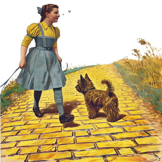 WIZ 24