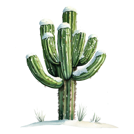 WINTER CACTUS 1